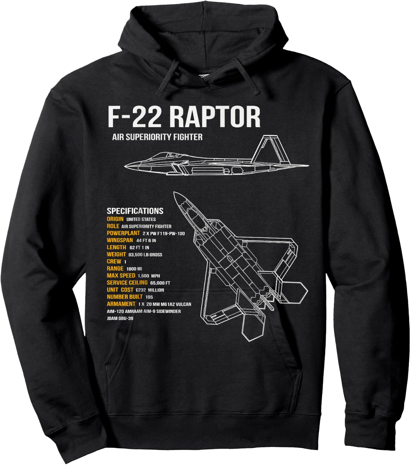 F-22 Raptor Hoodie - Hoodie | Black