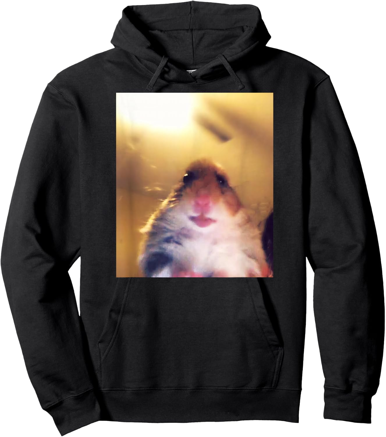 Staring Hamster Meme Front Camera Hoodie - Hoodie | Black