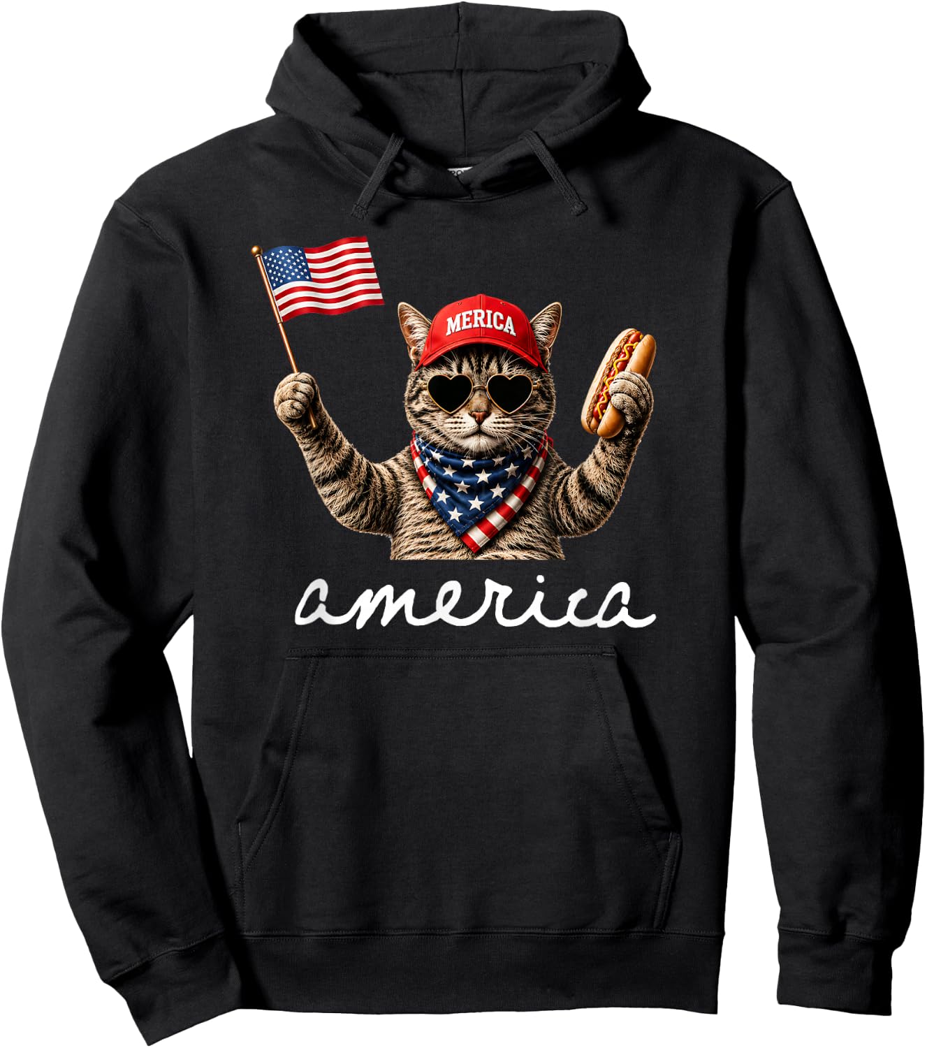 USA America Cat Hot Dog 1776-2026 4th of July 250 Years Hoodie - Hoodie | Black