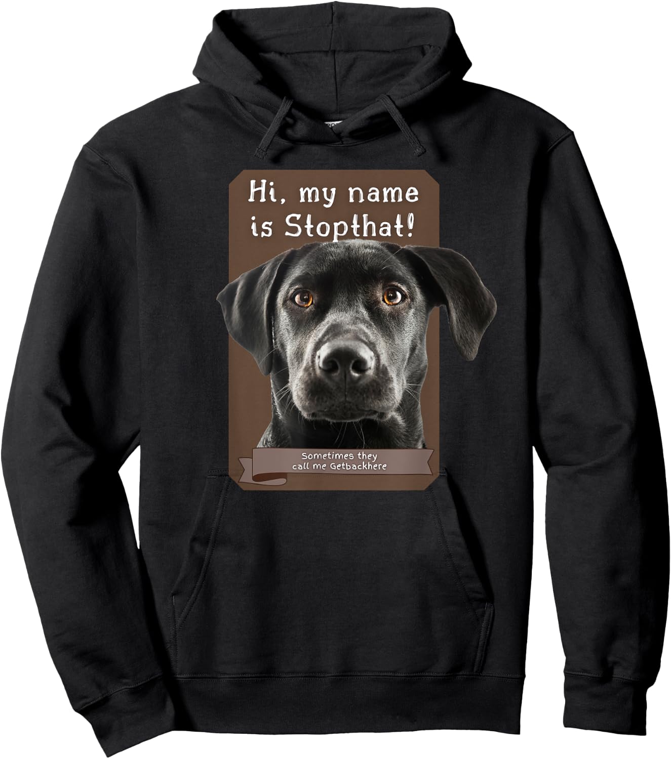 My Name Is Stopthat Funny Hyper Black Lab Labrador Dog Owner Hoodie - Hoodie | Black
