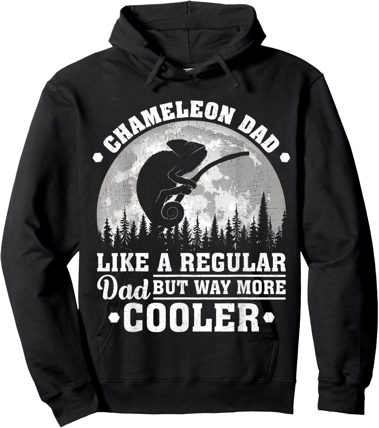 Chameleon Dad Like A Regular Dad Funny Chameleon Fathers Day Hoodie - Hoodie | Black