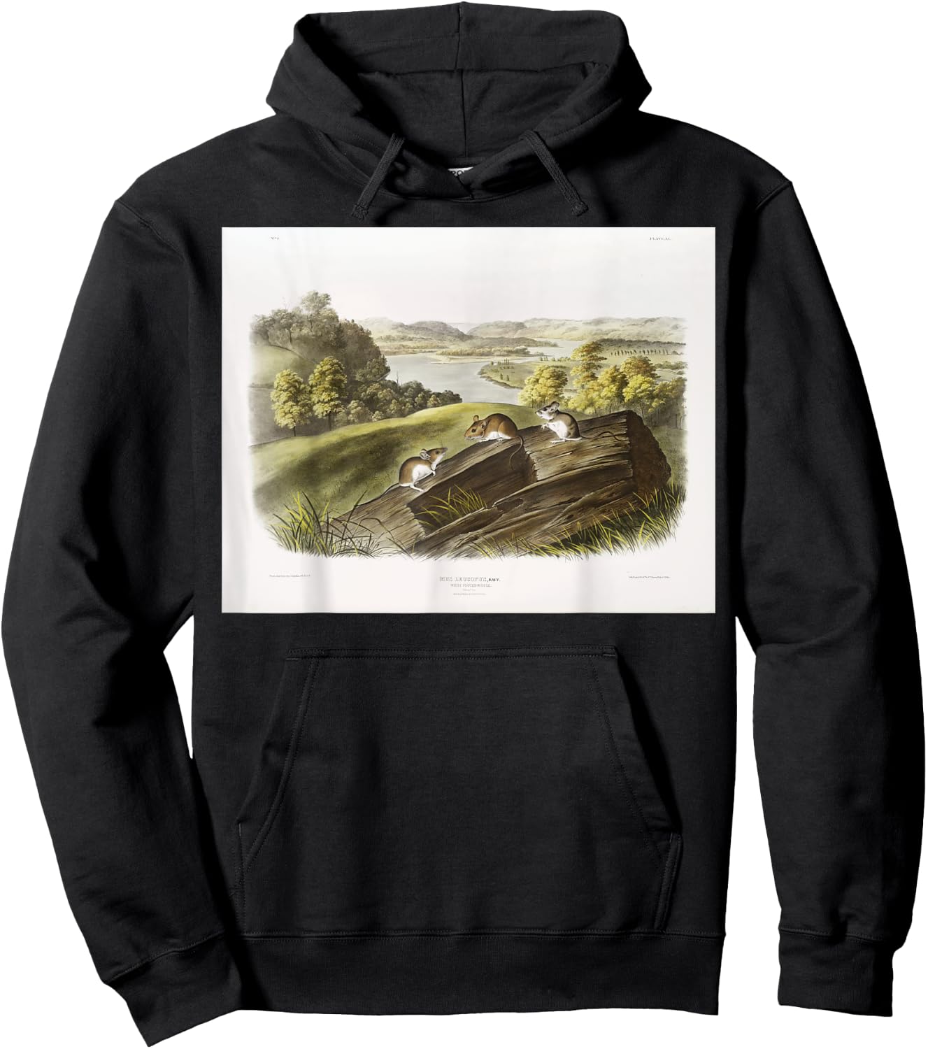 White-footed Mouse Animal Illustration & Women Hoodie - Hoodie | Black