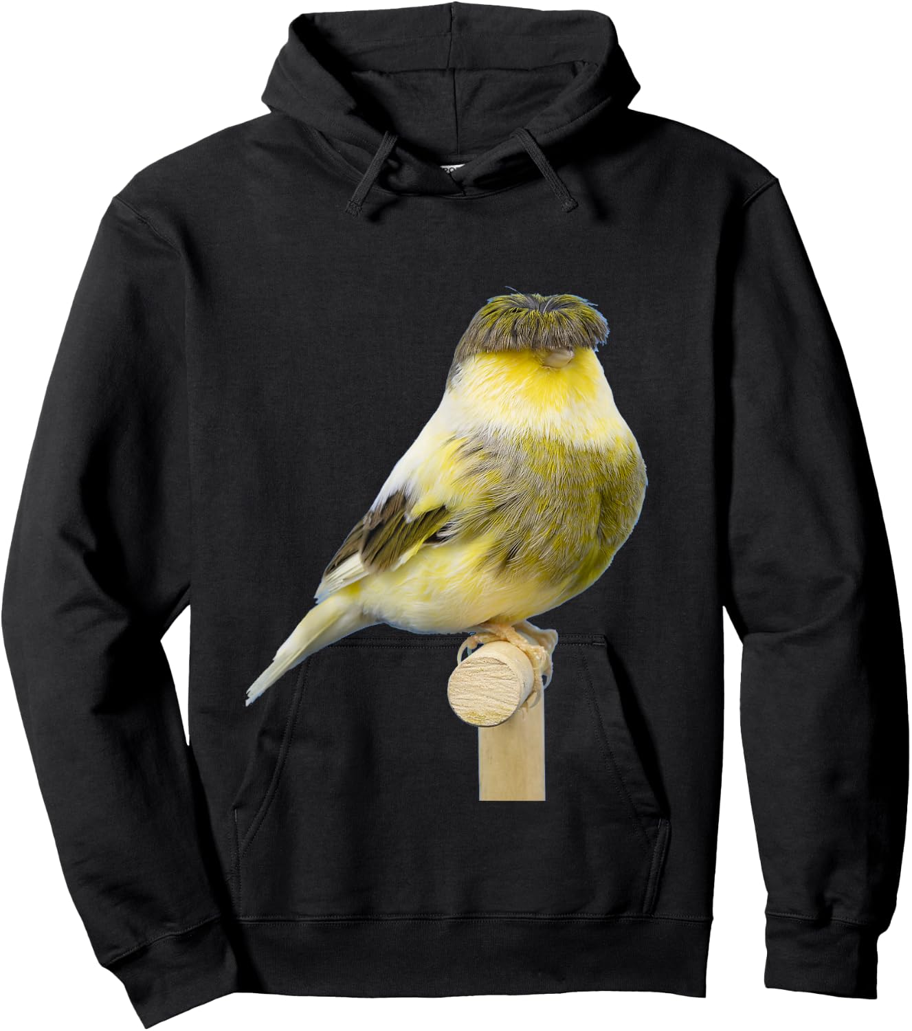 Gloster Canary | Beutiful Canary Gift Hoodie - Hoodie | Black