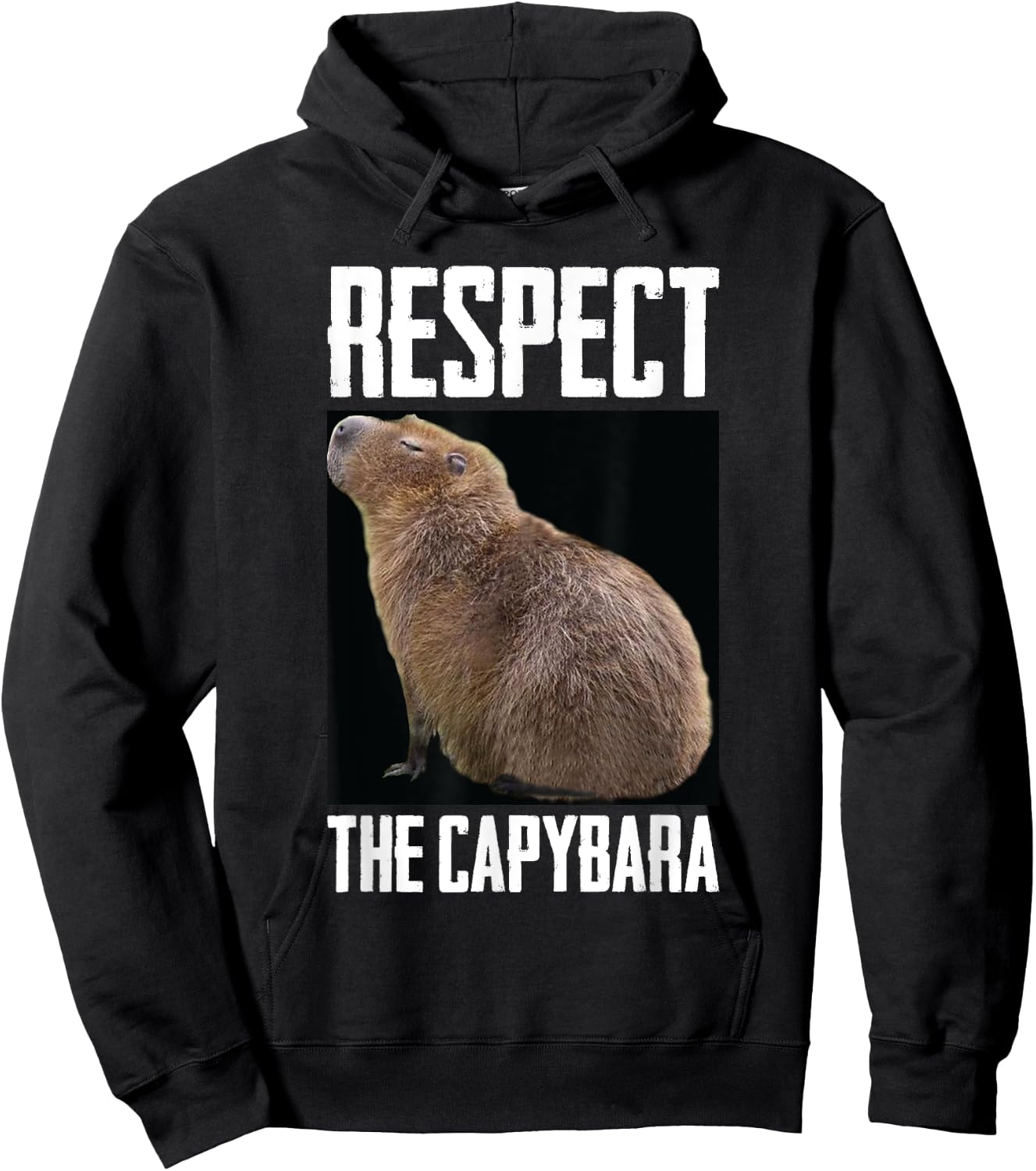 Respect The Capybara Funny Rodent Capibara Photo Hoodie - Hoodie | Black