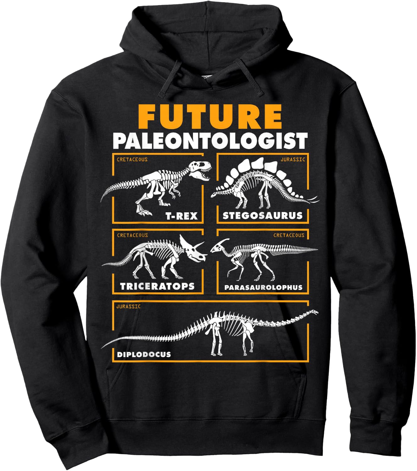 Future Paleontologist Dinosaur Fossil Paleontology Kids Boys Hoodie - Hoodie | Black
