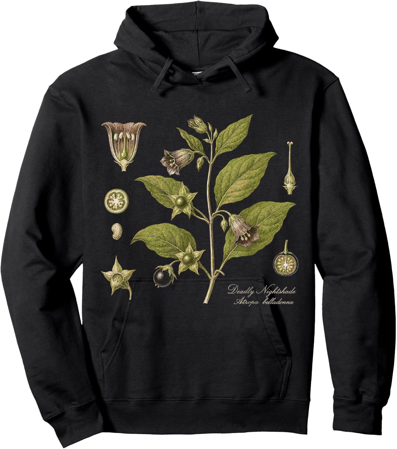 Deadly Nightshade Atropa Belladonna Vintage Botanical Hoodie - Hoodie | Black