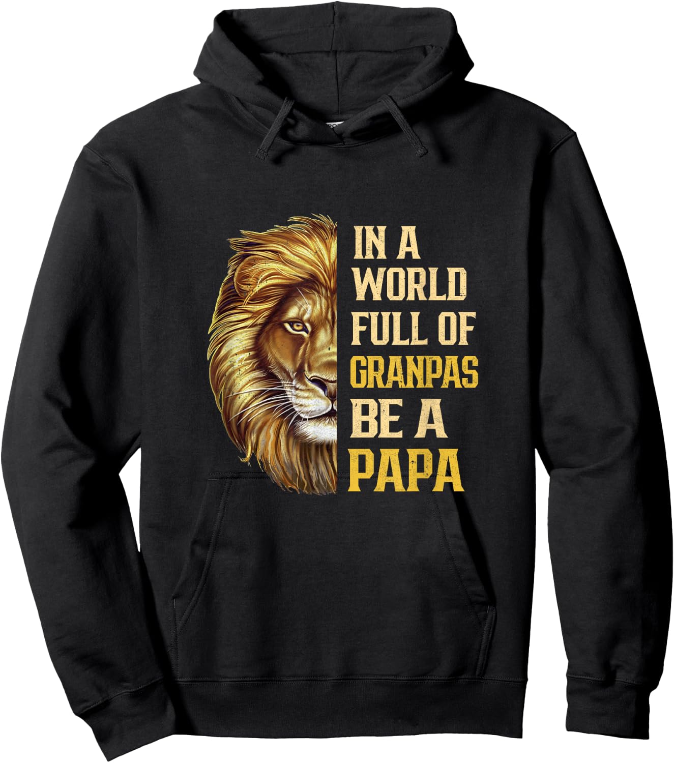 In A World Full Of Grandpas Be A Papa Fathers Day Lion Hoodie - Hoodie | Black