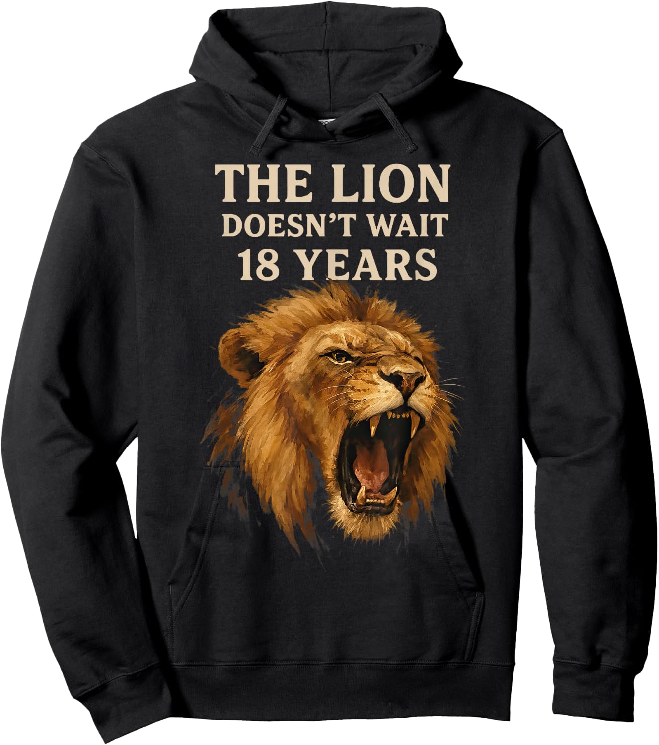 Sarcasm Funny Humor Lion Meme The Lion Doesn't Wait 18 Years Hoodie - Hoodie | Black