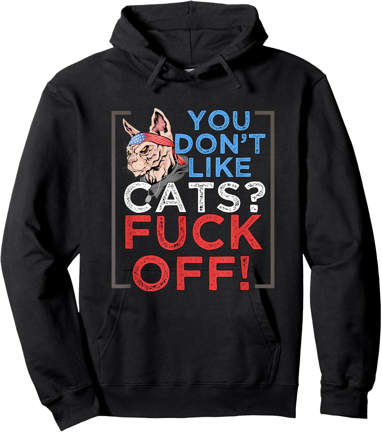 You Don't Like Cats, Fuck Off - Kitten Pet Owner Hoodie - Hoodie | Black