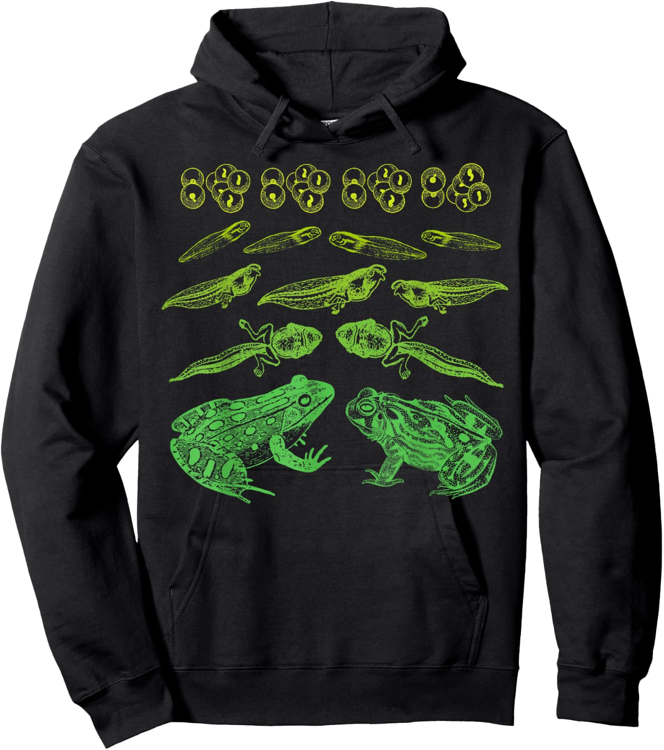 Frog Tadpole Life Cycle Biology Teacher Vintage Science Hoodie - Hoodie | Black