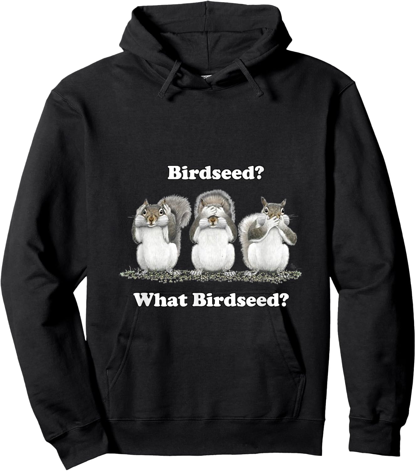 What Birdseed? Squirrel Hoodie - Hoodie | Black