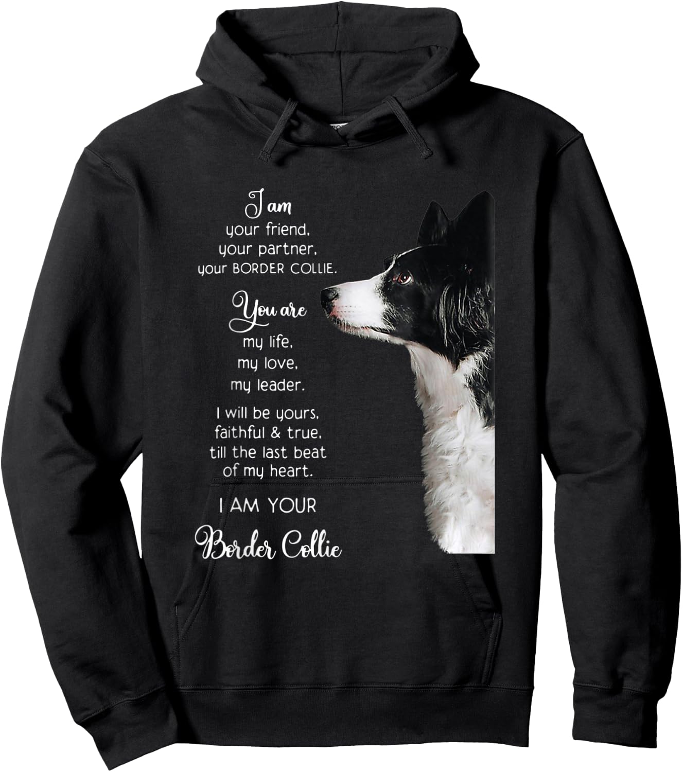 Funny I Am Your Friend Your Partner Your Border Collie Gift Hoodie - Hoodie | Black