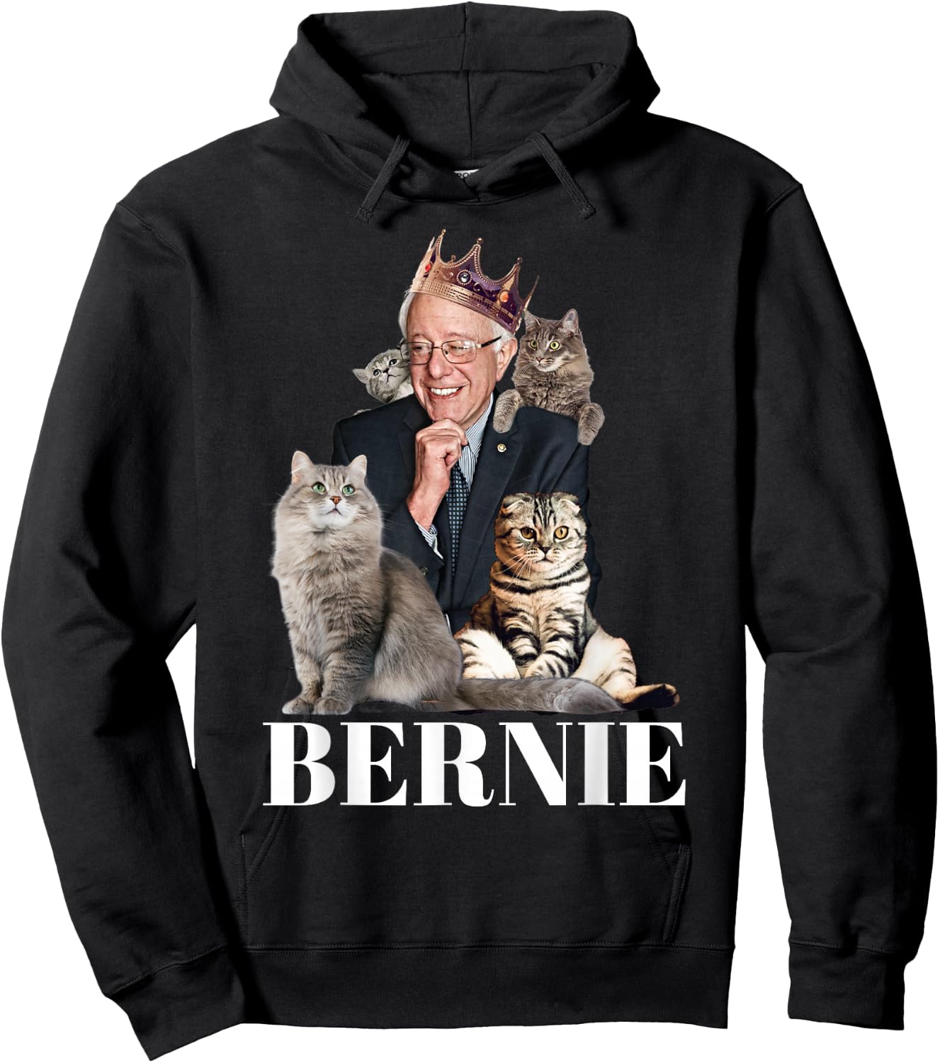 Bernie Sanders Funny Cat Gift Hoodie - Hoodie | Black