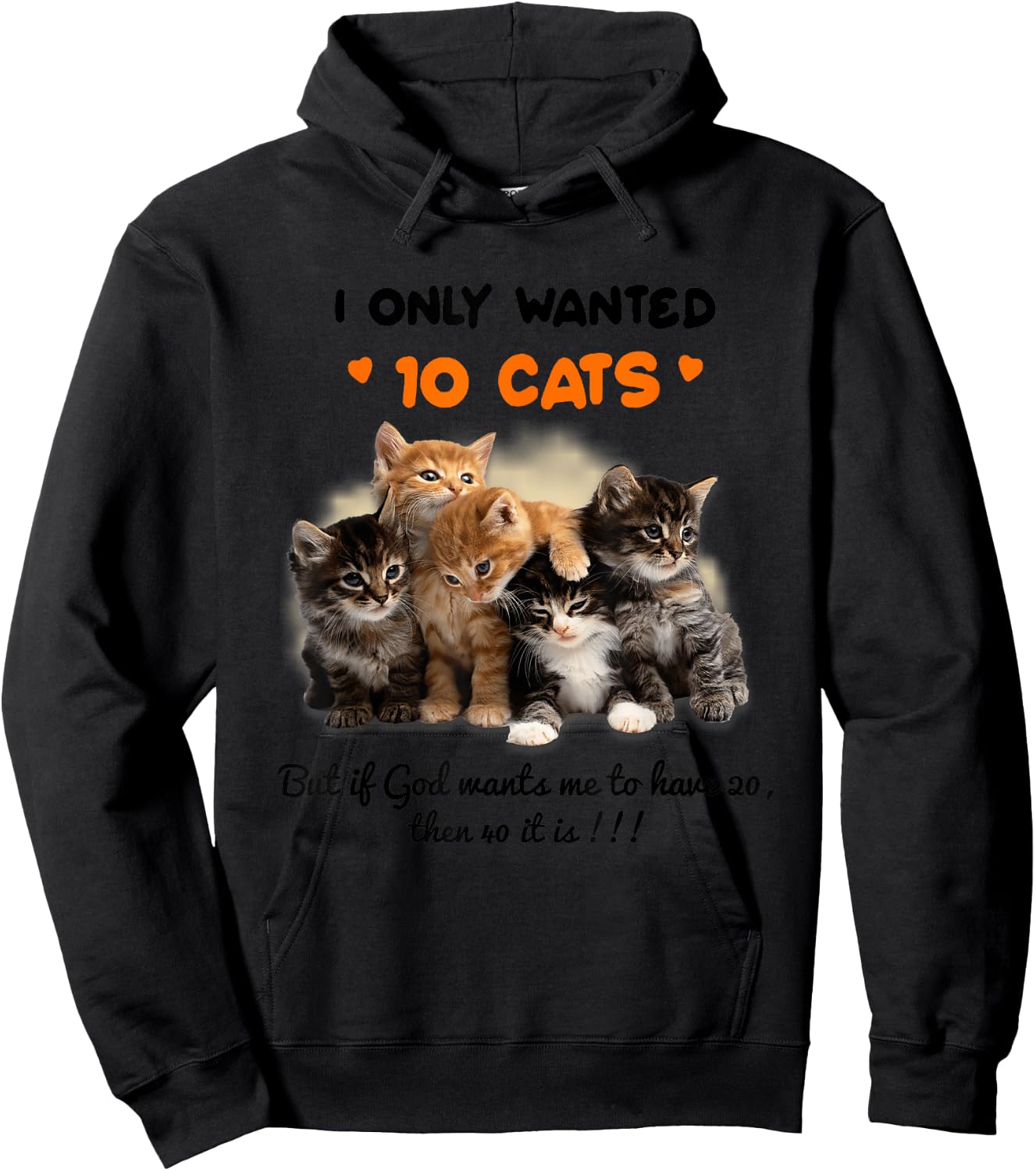 I Only Wanted 10 Cats But if God Wants Me To Have 20 Hoodie - Hoodie | Black