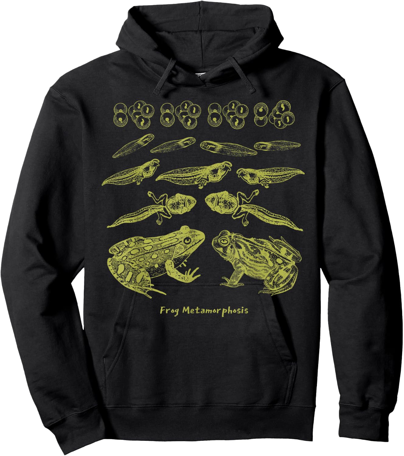 Frog Tadpole Life Cycle Biology Teacher Vintage Science Hoodie - Hoodie | Black