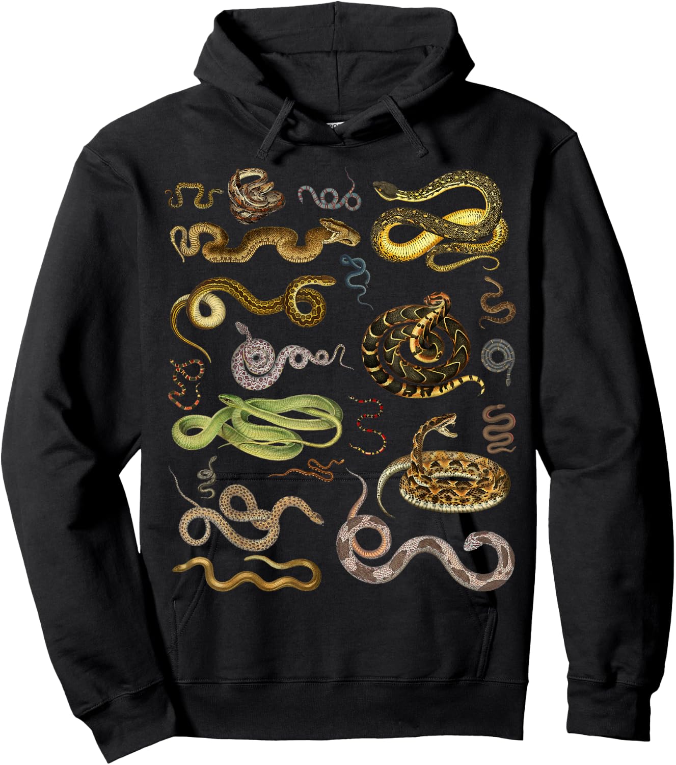Types Of Snakes Herpetologist Educational Kids Boys Girls Hoodie - Hoodie | Black