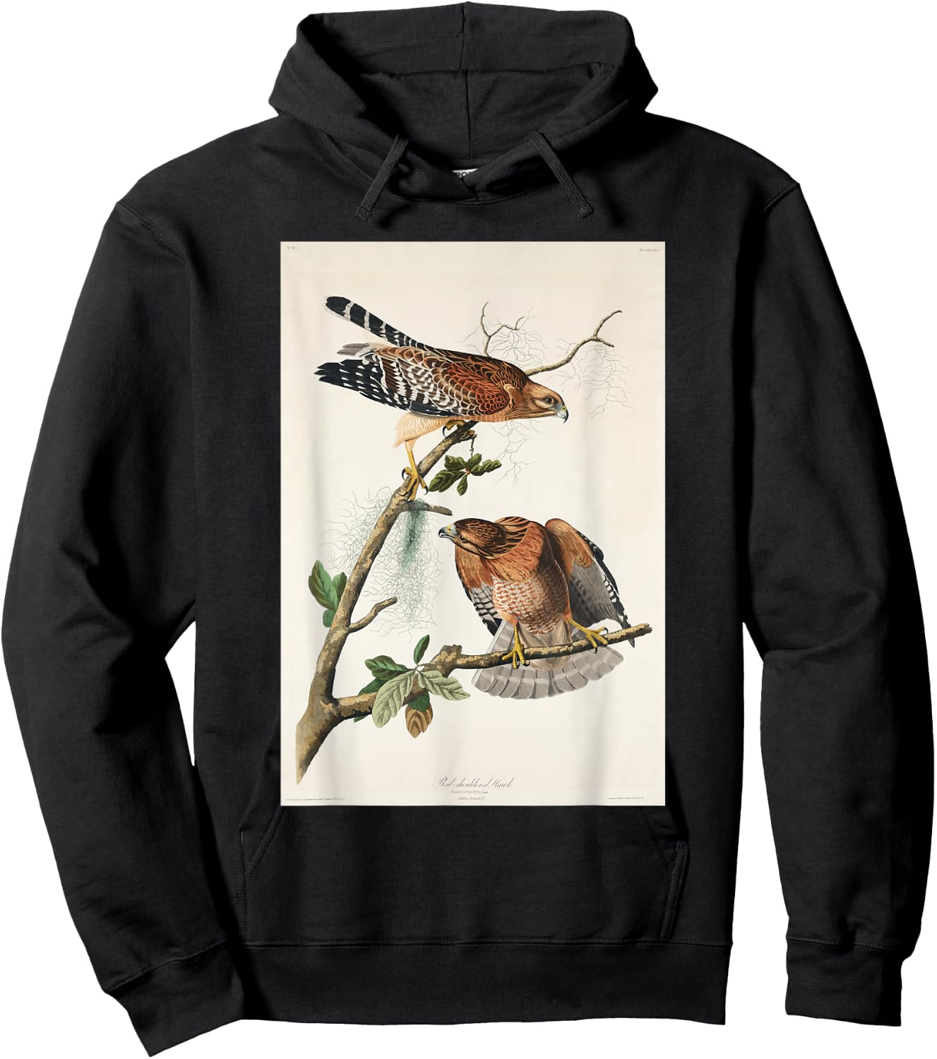 Vintage Red-Shouldered Hawks Birds Illustration Men & Women Hoodie - Hoodie | Black