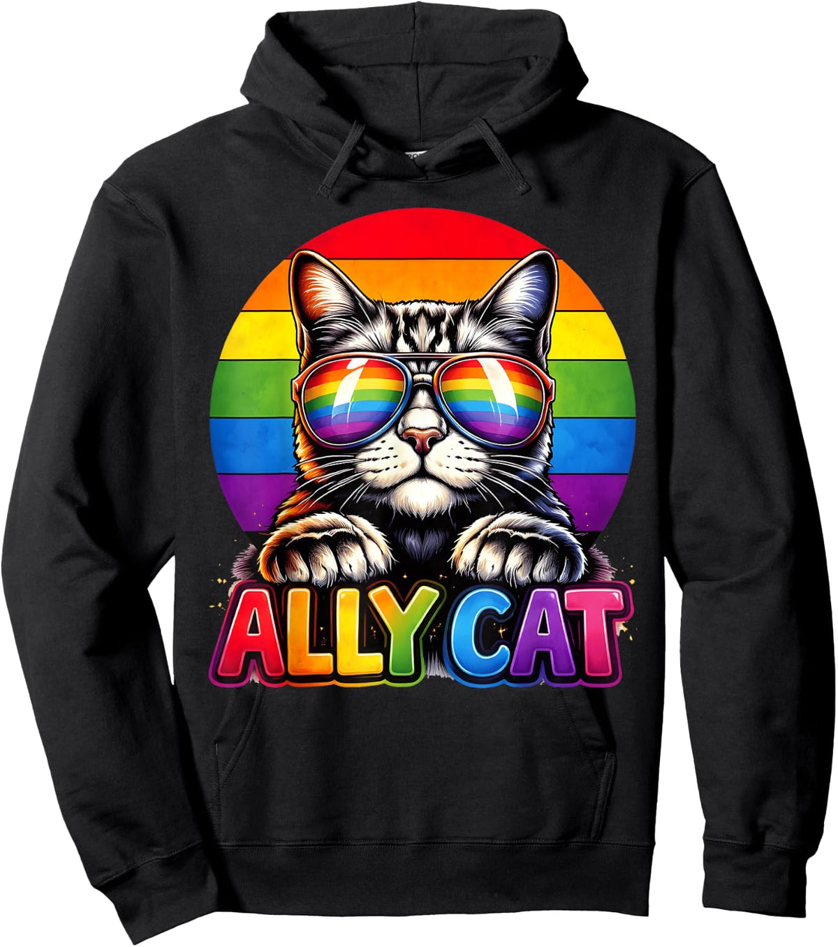 Cute Ally Cat Rainbow Pride Cat Lovers LGBT Men Women Hoodie - Hoodie | Black