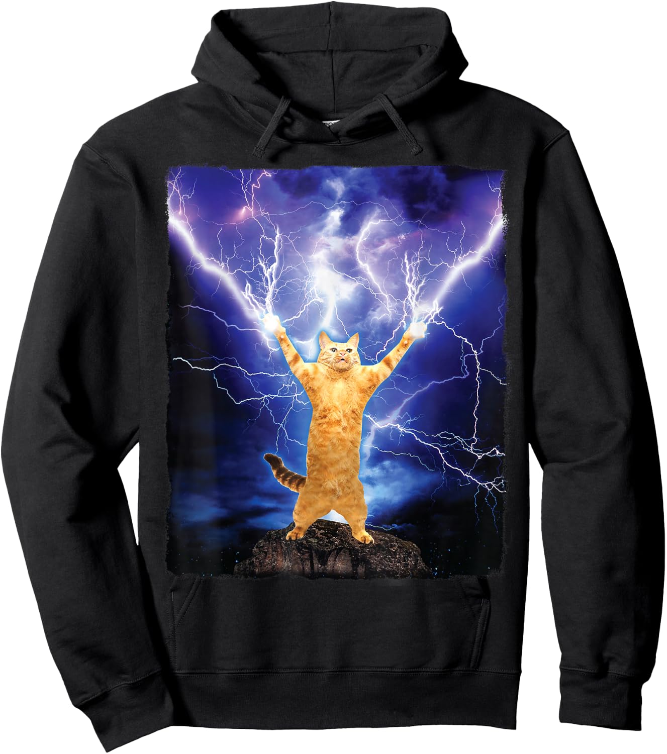 Cat Merch Funny Cat Lightning Thunderbolt On Mountain Hoodie - Hoodie | Black