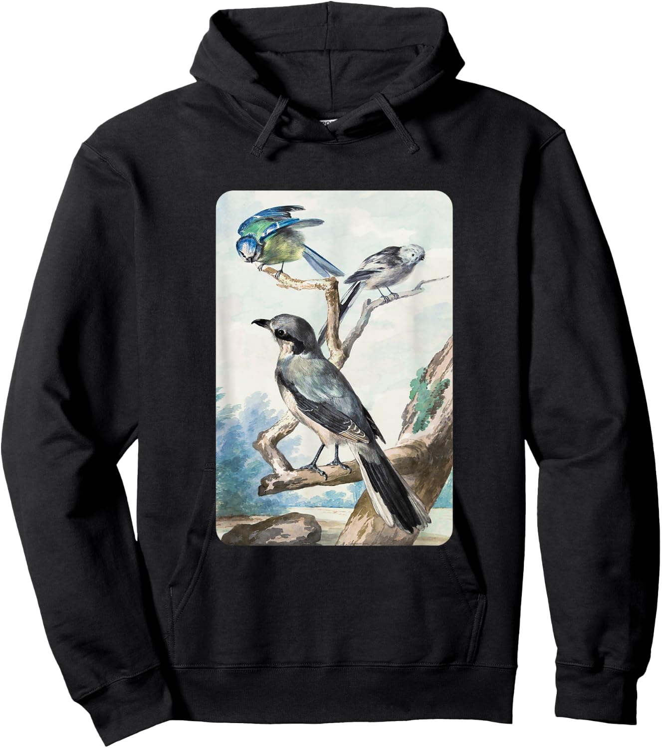 Long-tailed Tit Blue Tit and Great Shrike By Aert Schouman Hoodie - Hoodie | Black