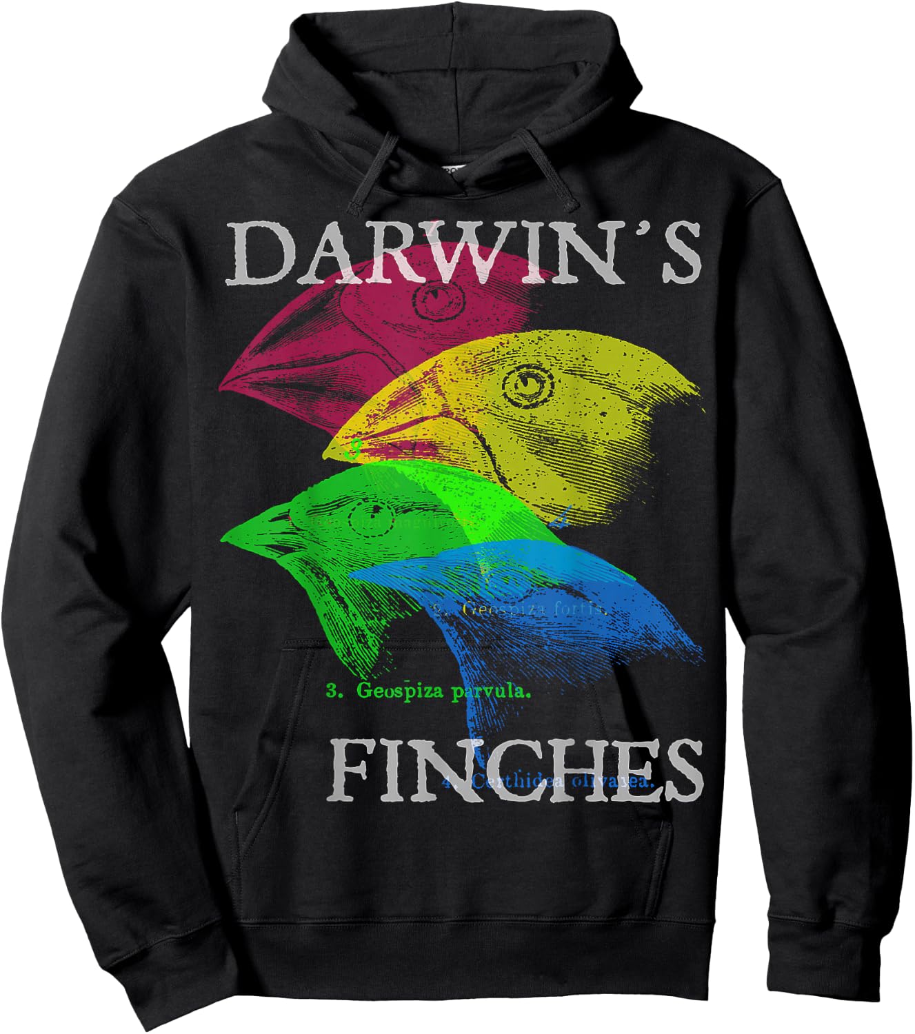 Nerdy Darwin's Finches Evolution Science Biology Teacher Hoodie - Hoodie | Black