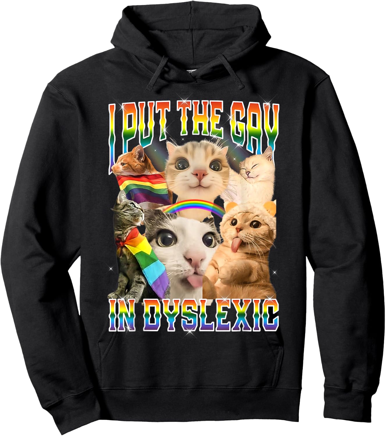 I Put The Gay in Dyslexic Funny Cat Meme Bootleg Hoodie - Hoodie | Black