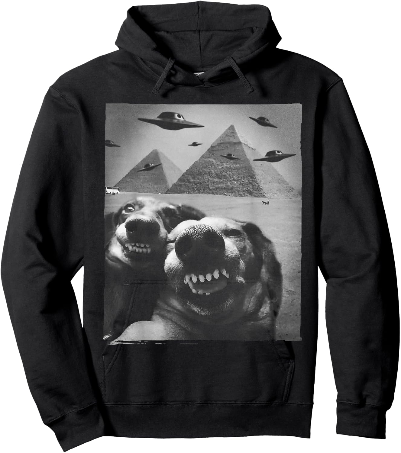 Funny Dog Selfie Alien UFO Invasion Pyramid Egypt Giza Meme Hoodie - Hoodie | Black