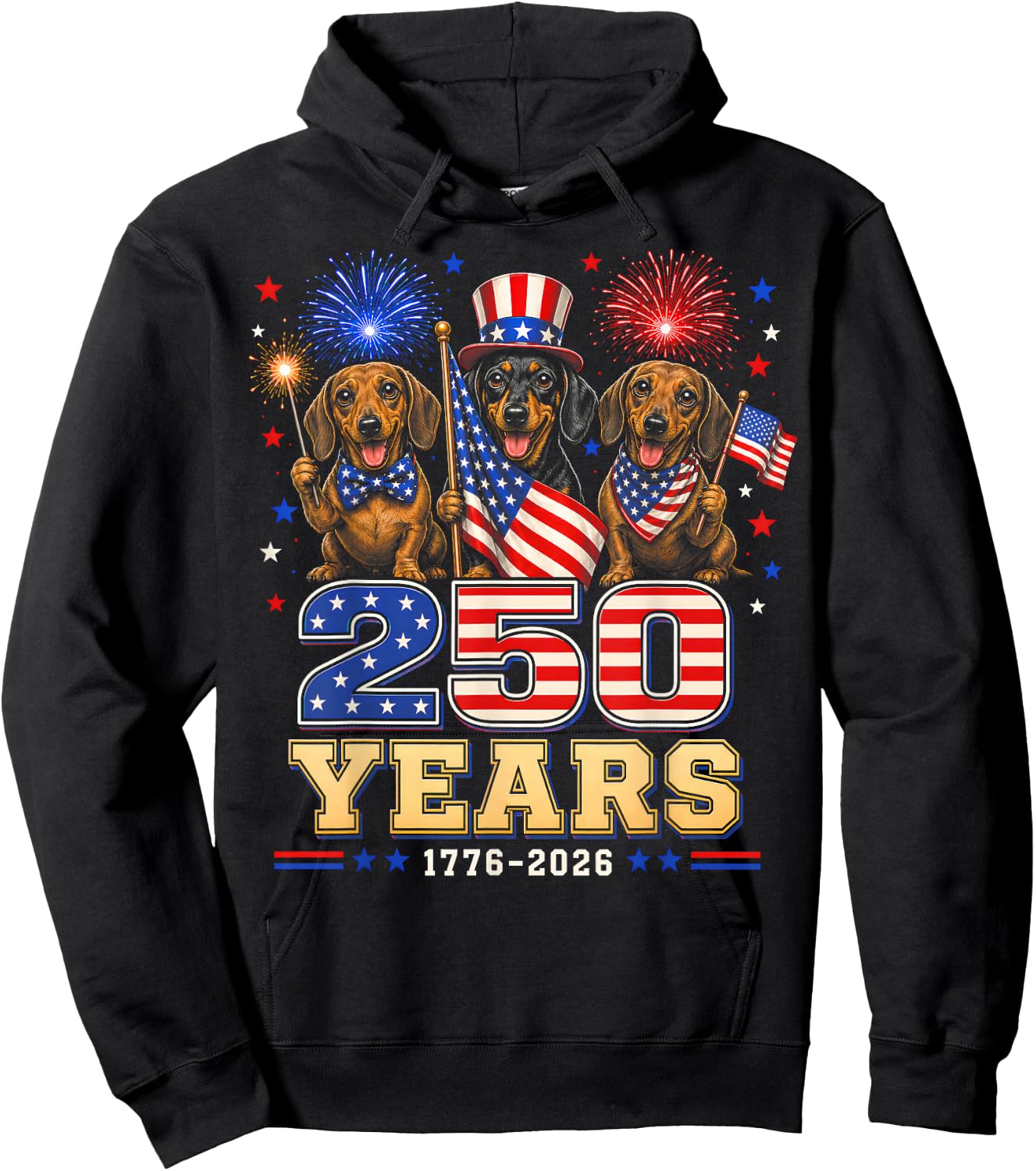 250 Years 1776 2026 Dachshund Patriotic Dog 4th of July Hoodie - Hoodie | Black