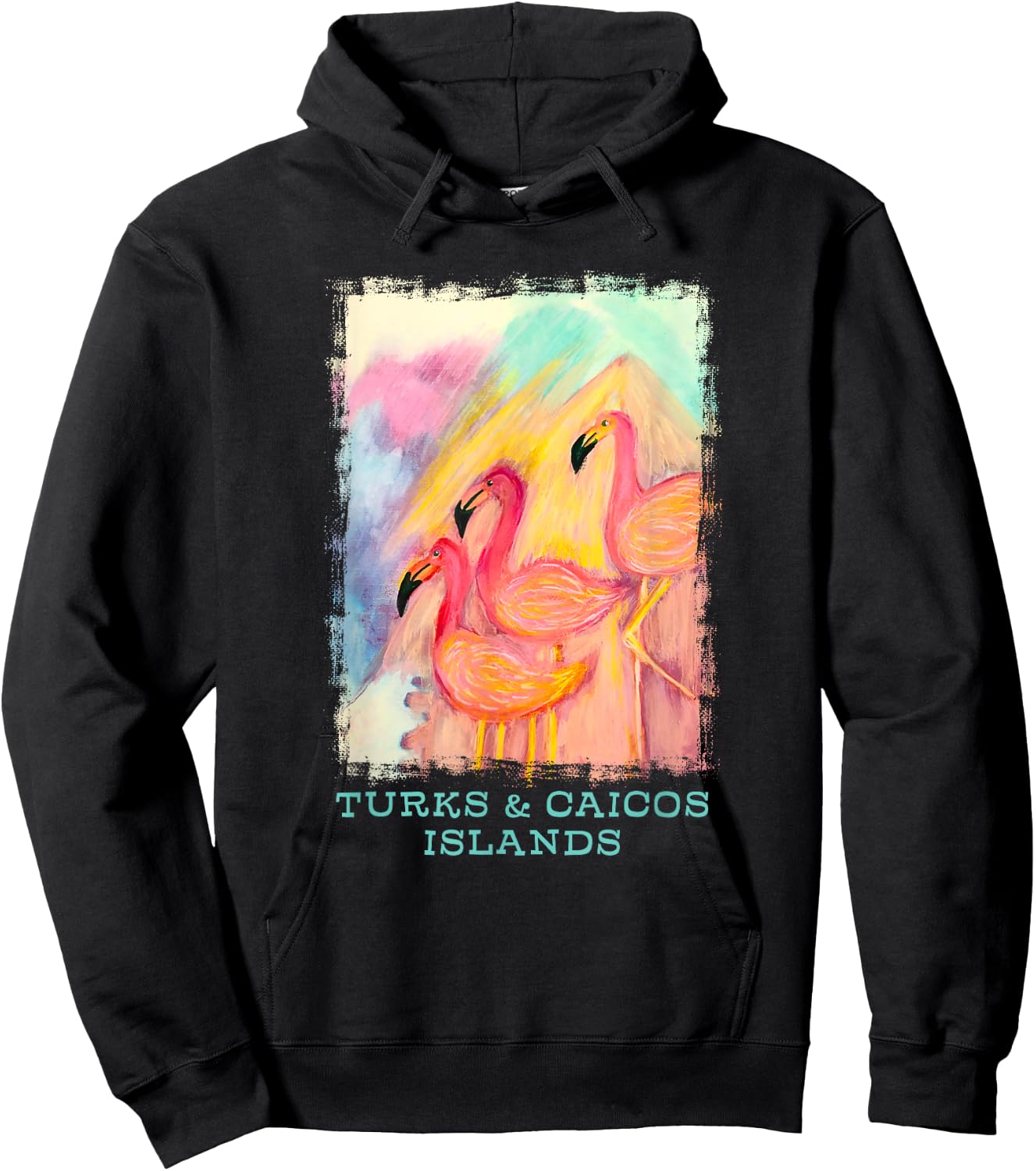 Turks and Caicos Islands Flamingo Birds Birders Souvenir Hoodie - Hoodie | Black