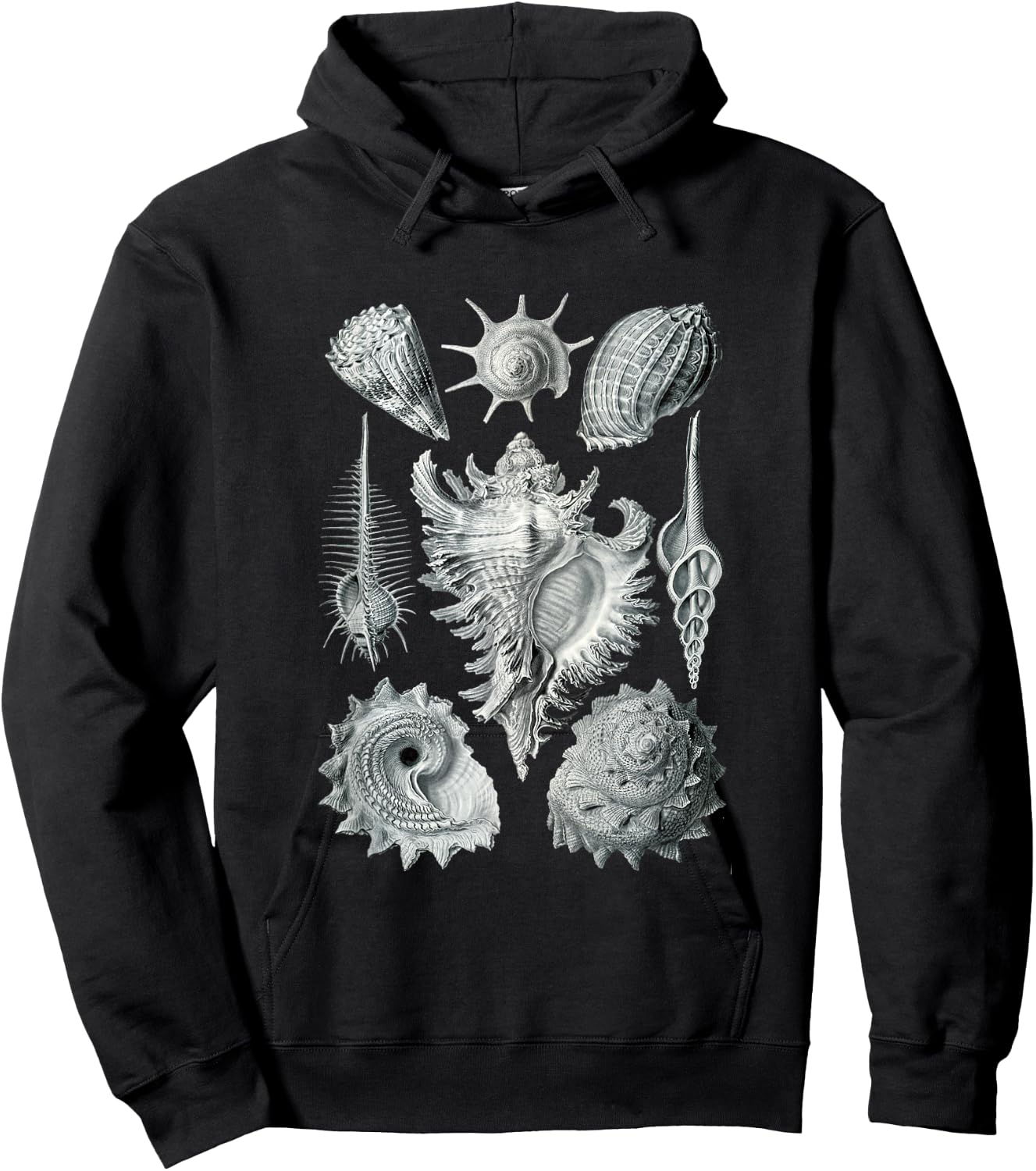 Sea Shells Botanical Ocean Vintage Scientific Drawing Art Hoodie - Hoodie | Black