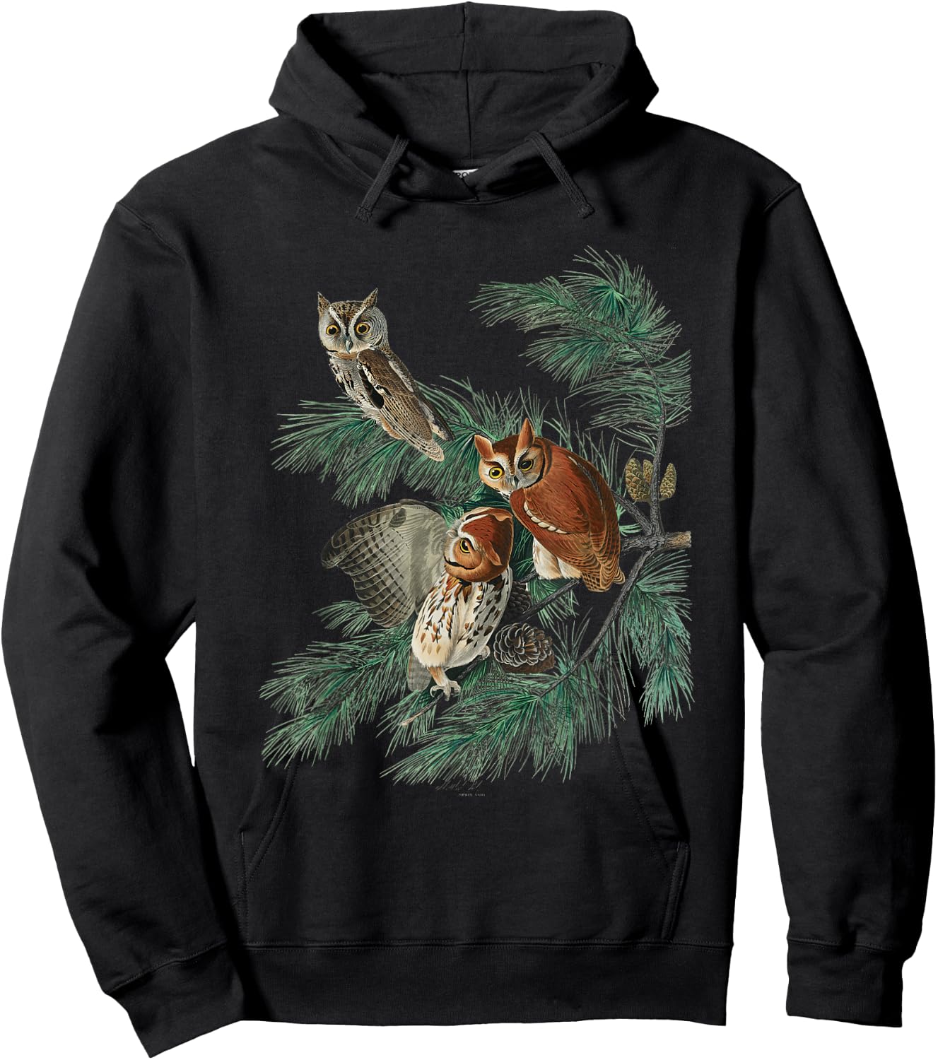 Vintage Little Screech Owl Bird Illustration & Women Hoodie - Hoodie | Black