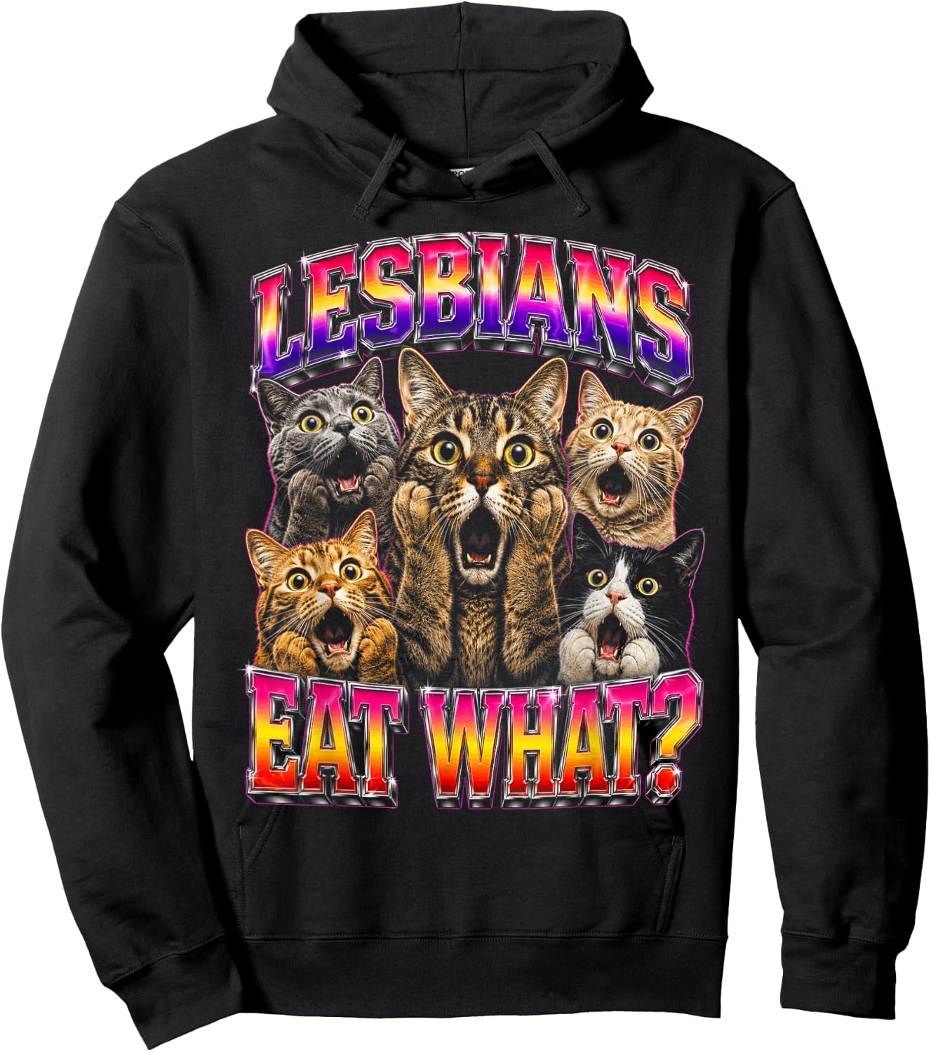 Gay Pride Funny Cats Ally Lesbian LGBT Hoodie - Hoodie | Black