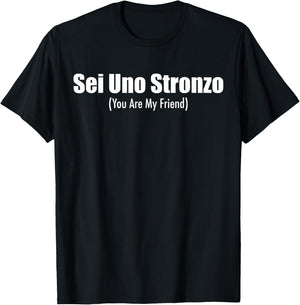 Sei Uno Stronzo Funny Italian Sayings Bad Translation Gift T-Shirt - T-Shirt | Black