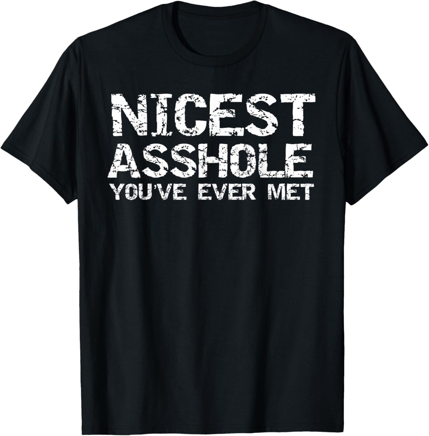 Funny Jerk Gift Fun Gag Joke Nicest Asshole You've Ever Met T-Shirt - T-Shirt | Black