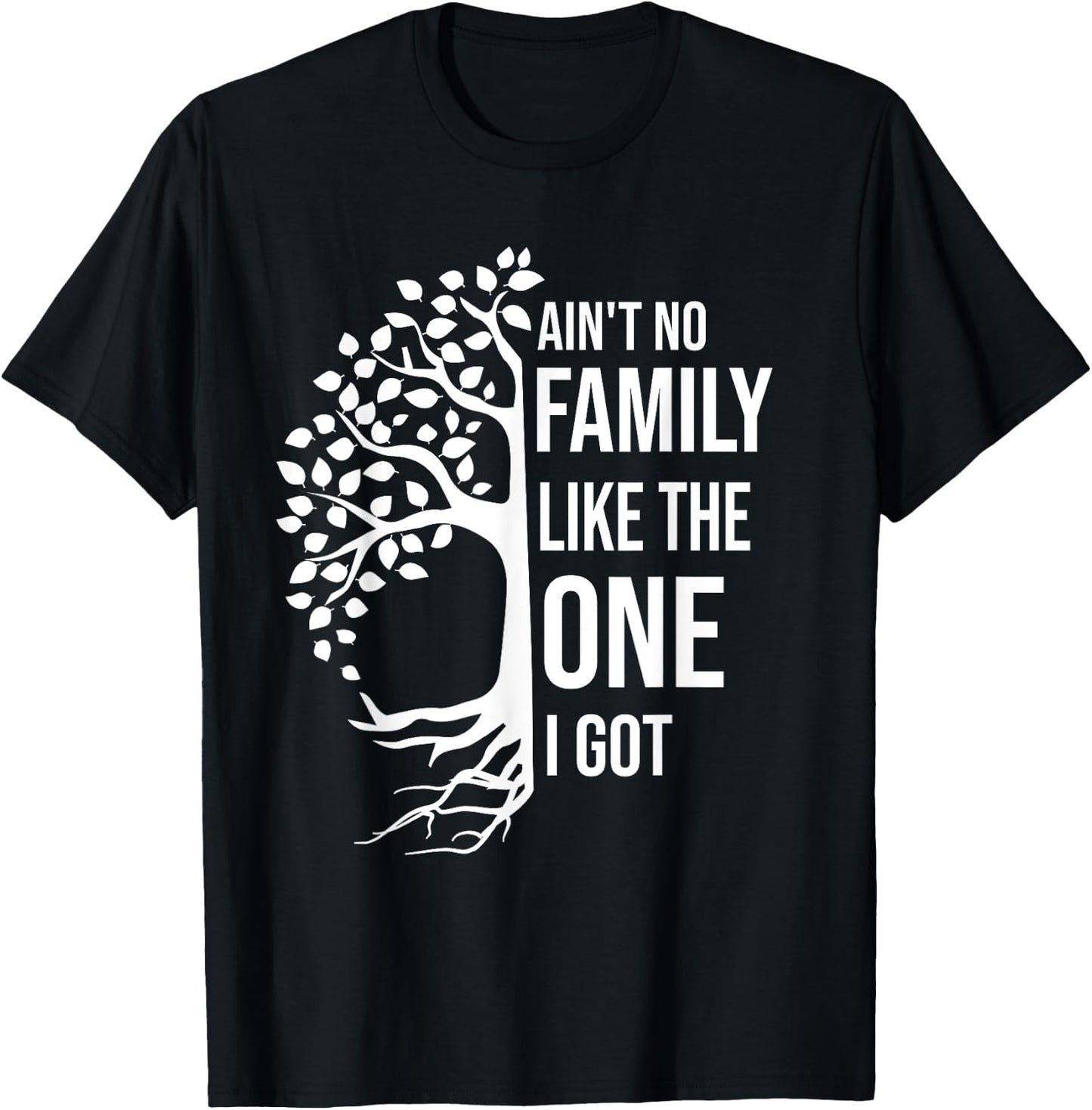 Ain't No Family Like The One I Got Funny Family Reunion 2025 T-Shirt - T-Shirt | Black