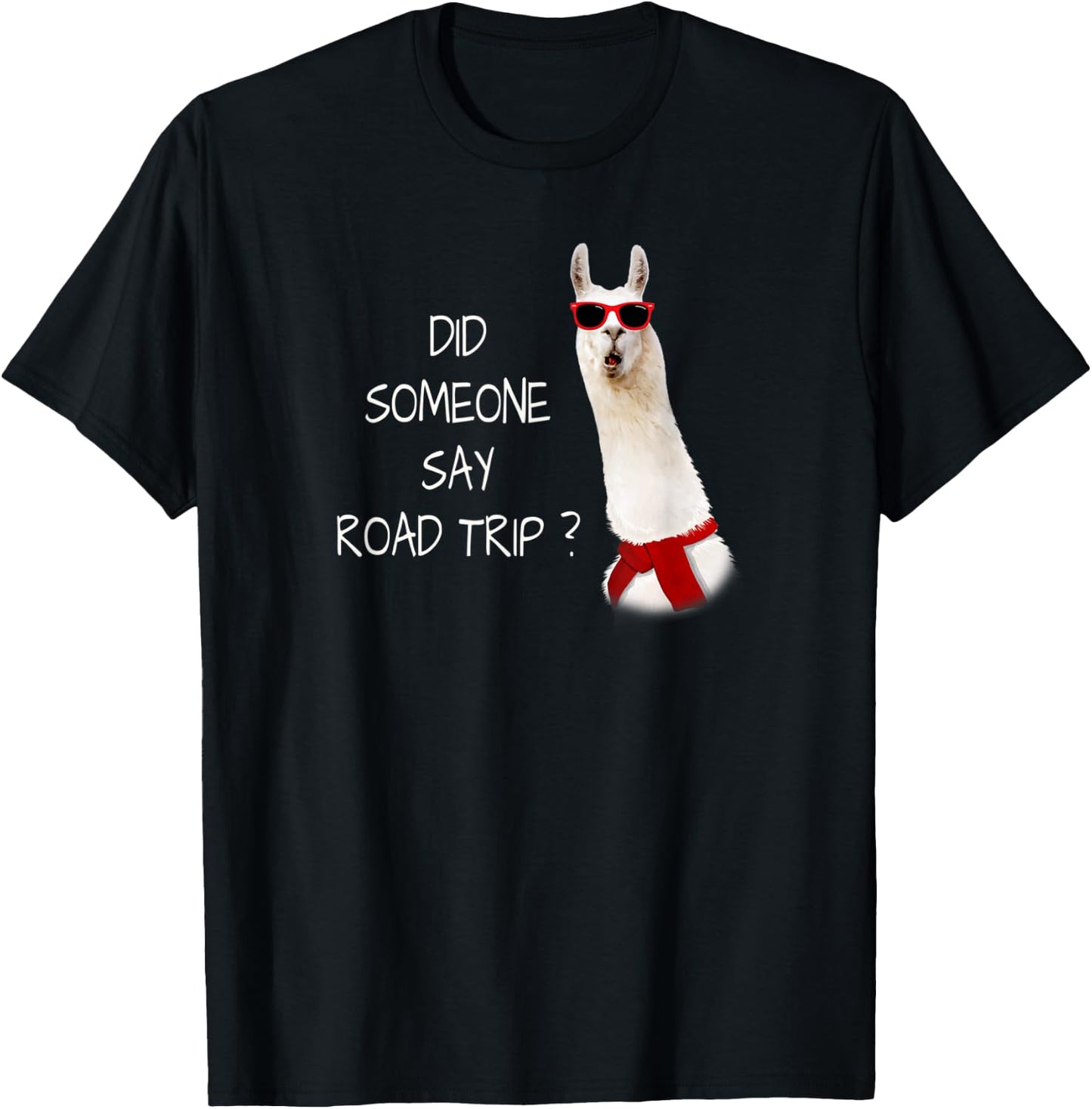 DID SOMEONE SAY ROAD TRIP? Funny Mini Vacation T-Shirt - T-Shirt | Black