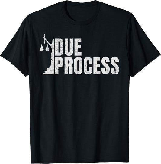 Process Due all Legal Rights Lawyer for Civil Rights Lawyers T-Shirt - T-Shirt | Black