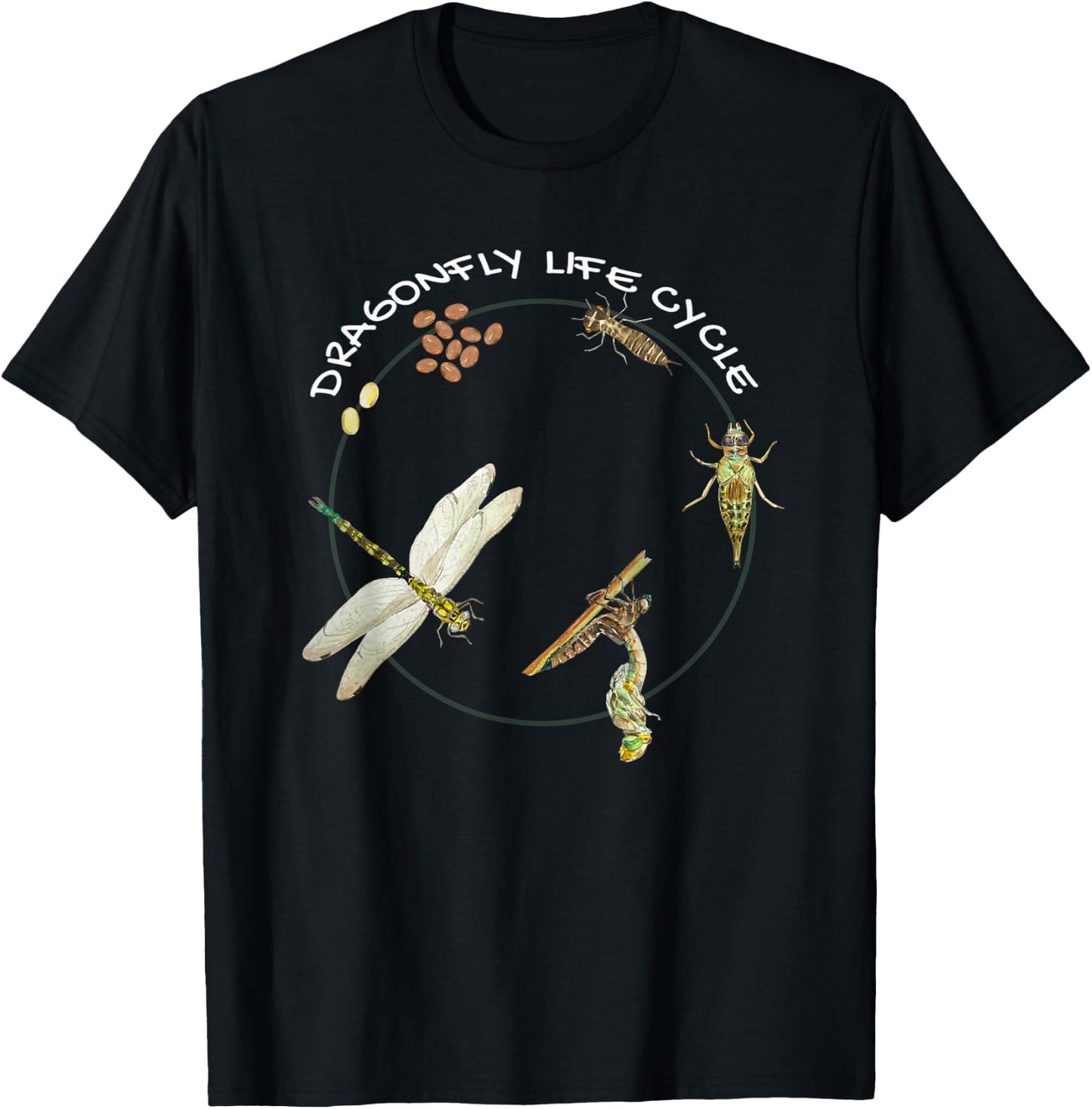 Dragonfly Life Cycle Facts 3 Stages Insect Development T-Shirt - T-Shirt | Black