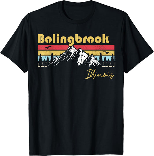 Bolingbrook Illinois Roots Hometown Vintage Home State T-Shirt - T-Shirt | Black
