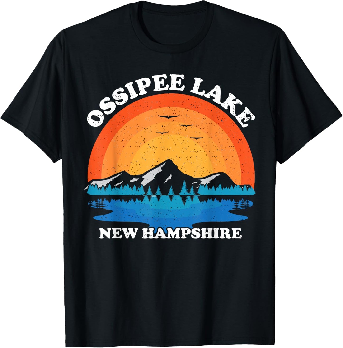 Vintage Family Vacation Retro New Hampshire Ossipee Lake T-Shirt - T-Shirt | Black