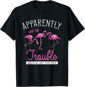 Apparently Were Trouble When We Are Together Funny Flamingo T-Shirt - T-Shirt | Black