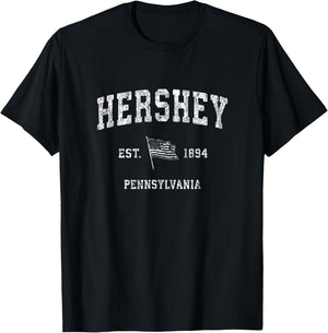 Hershey Pennsylvania PA Vintage US Flag Sports T-Shirt - T-Shirt | Black