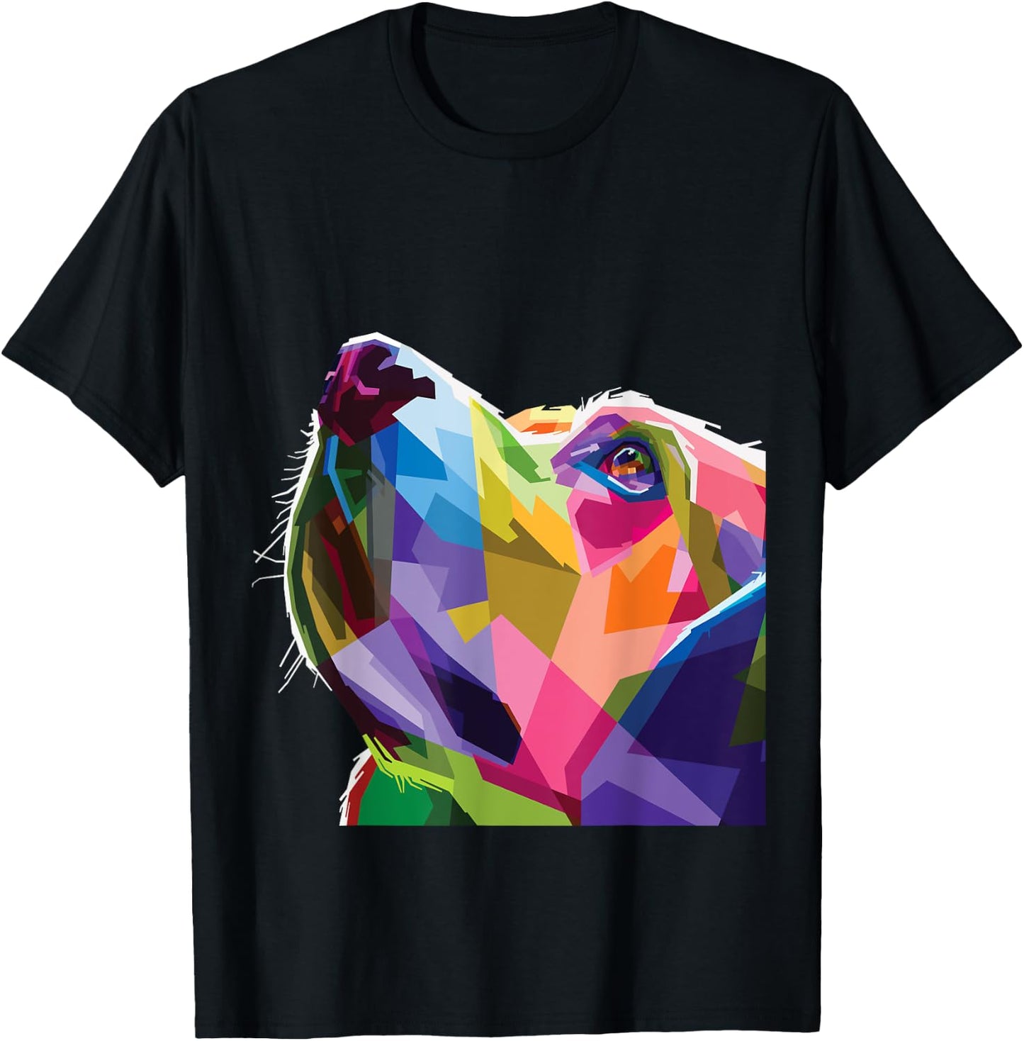 Rainbow Lab Colorful Dog Lover Labrador Retriever Women Kids T-Shirt - T-Shirt | Black