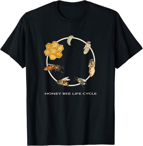 Honey Bee Life Cycle Insect Family 4 Stage Watercolor Design