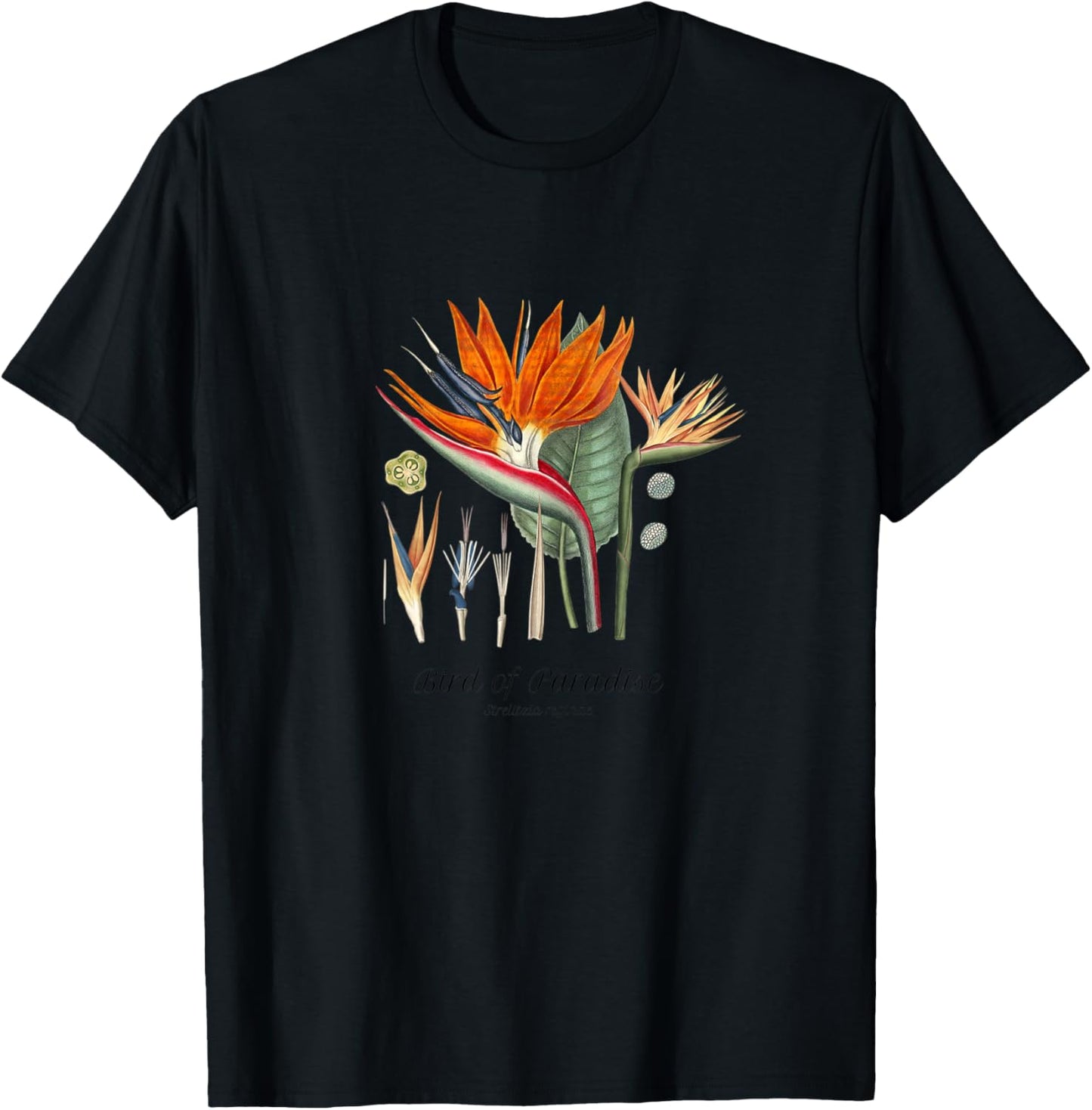 Bird of Paradise Botanical, Tropical Plants T-Shirt - T-Shirt | Black
