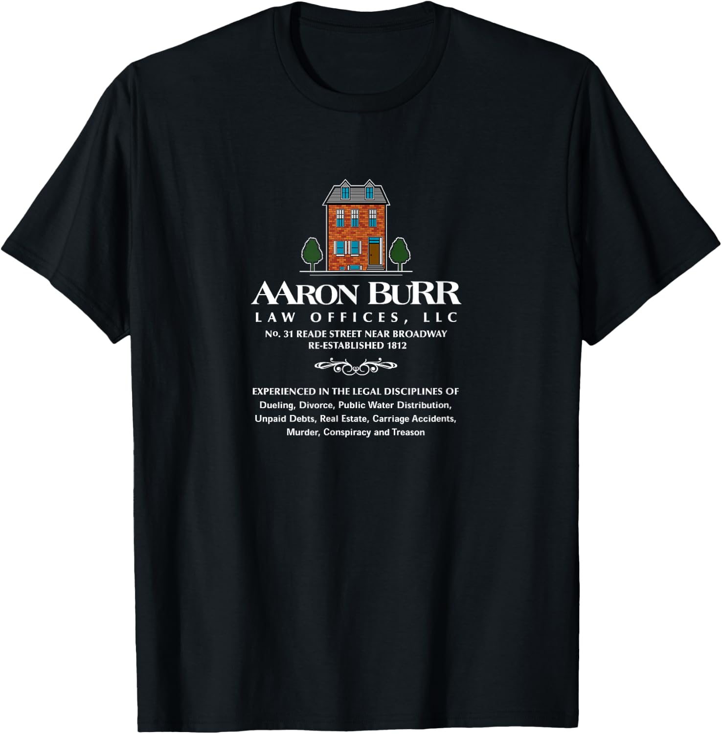Aaron Burr Vice President United States History T-Shirt - T-Shirt | Black