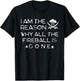 I Am The Reason Why All The Fireball Is Gone T-Shirt - T-Shirt | Black