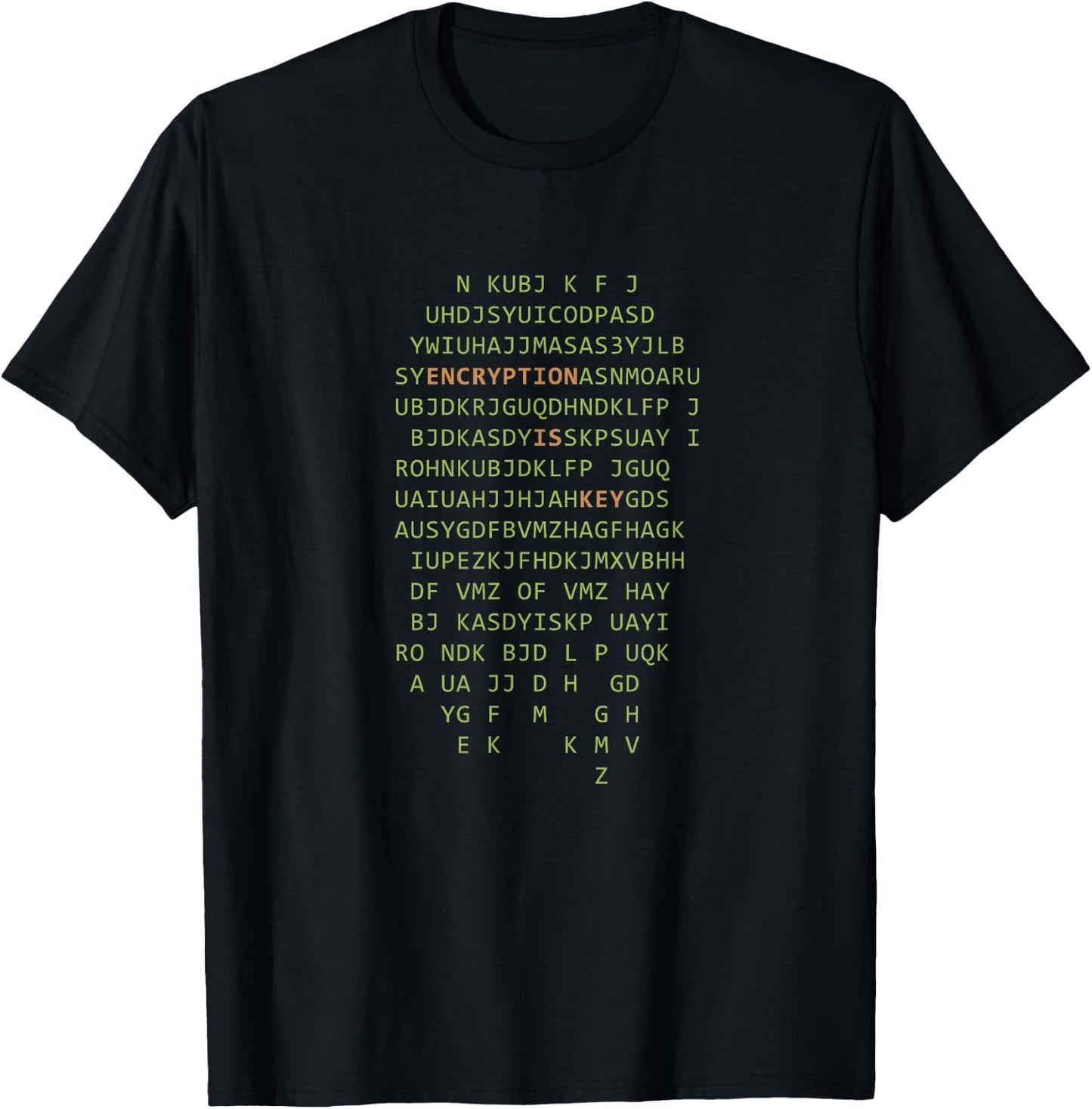 Computer Scientist Hacker Encryption Is Key Programmer T-Shirt - T-Shirt | Black