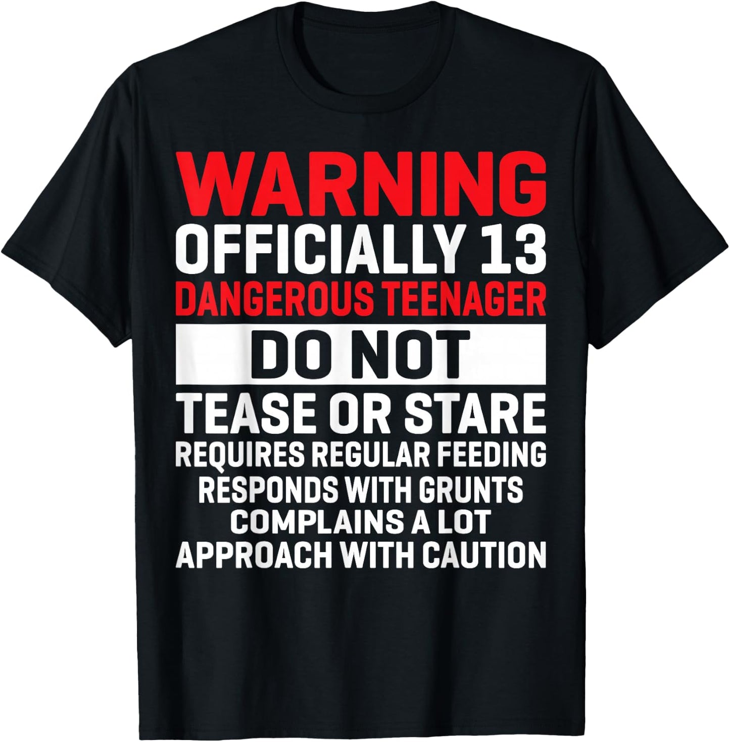Warning Officially 13 Dangerous Teenagers 13th Birthday T-Shirt - T-Shirt | Black