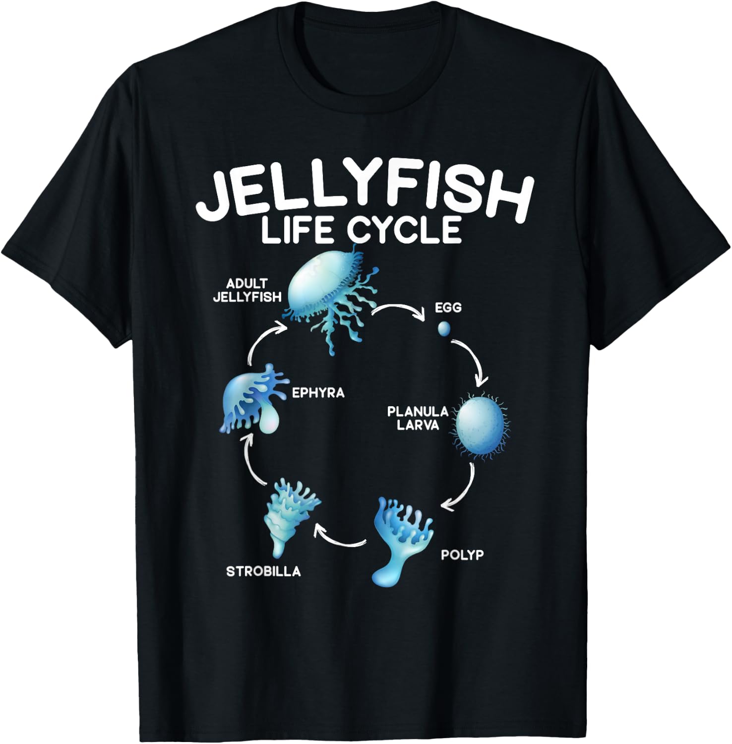 Jellyfish Life Cycle Animal Lover Jellyfish Season T-Shirt - T-Shirt | Black